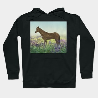 Horse in Bluebell Field Hoodie